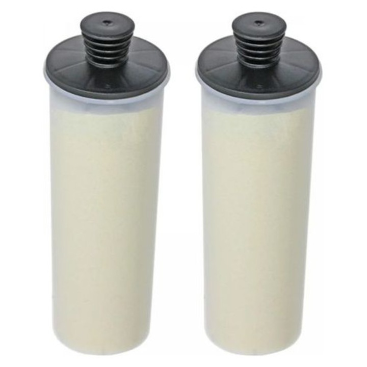 Set 2 cartuse filtrante pentru decalcifiere, compatibil cu Karcher SC3, 50x160mm