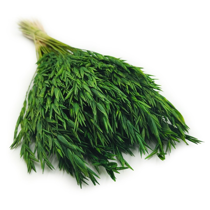 Szárított ovaz, üvegzöld, 50cm, 100g, 70 ágacska