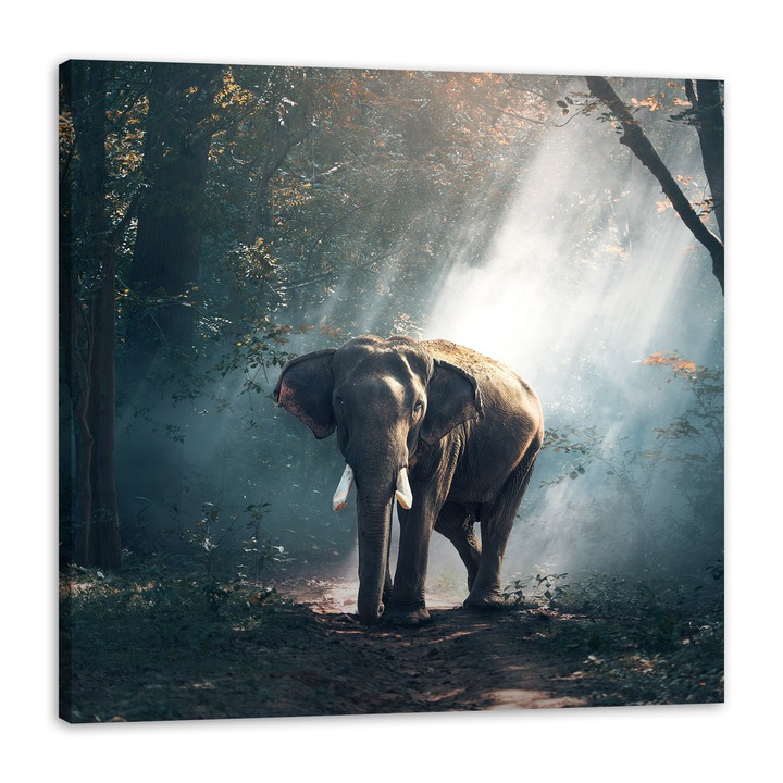 Картина върху платно, слон, 90x90см, текстурирана, масивно дърво