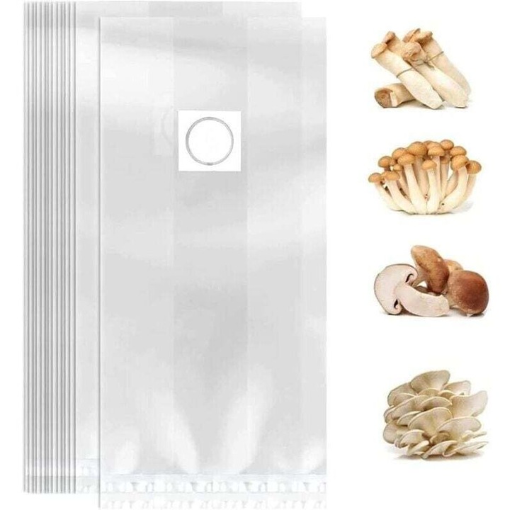 Set 10 saci cultivare ciuperci 32x50cm transparenti rezistenti cu filtru