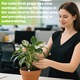 Indicator de apa pentru plante cu 6 piese, higrometru pentru plante, tester de umiditate pentru plante, indicator de apa hidroponica, indicator precis al nivelului de udare pentru plante de interior, jardiniere si sere