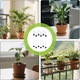 Indicator de apa pentru plante cu 6 piese, higrometru pentru plante, tester de umiditate pentru plante, indicator de apa hidroponica, indicator precis al nivelului de udare pentru plante de interior, jardiniere si sere
