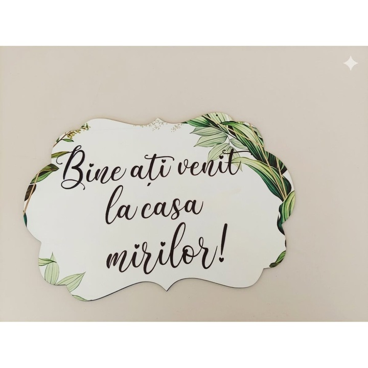 Panou Bine ati venit la casa mirilor