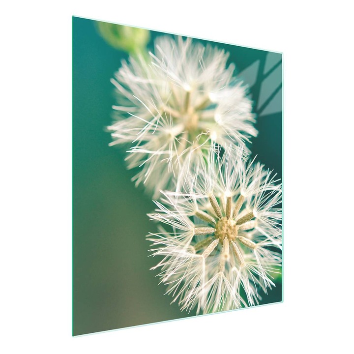 Placa sticla protectie bucatarie TMK ArtDeko 45x52cm multicolor