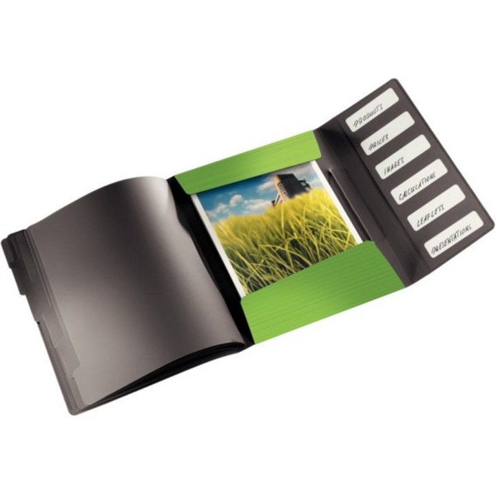 Mapa cu elastic Leitz Solid 6 compartimente verde