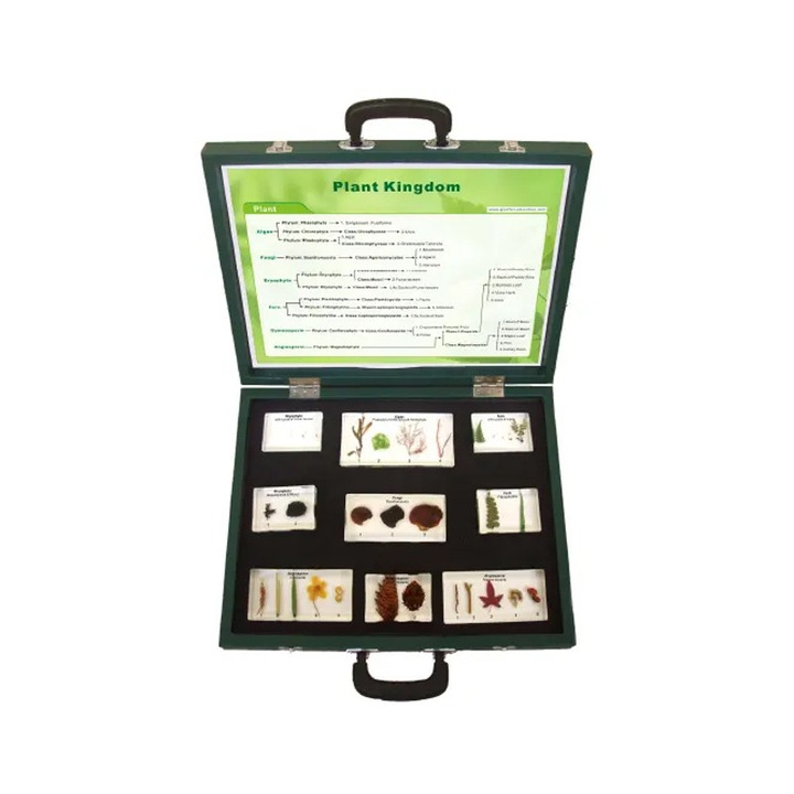 Gelsonlab Növénytípusok készlet, bőröndben, 9 részes