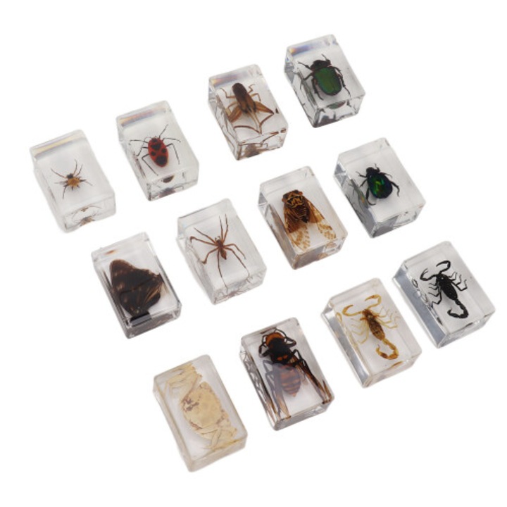 Set 12 insecte in rasina transparenta ecologic, decor, 12 piese