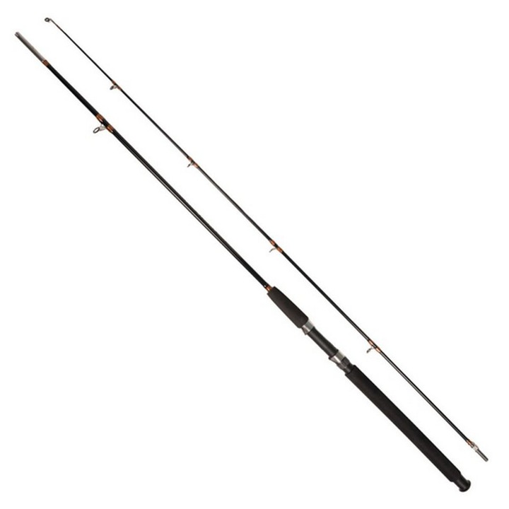 Lanseta fbra plina dayko lungime-2.70m-100/250g putere aruncare