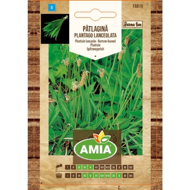 Seminte de patlagina, Amia Farma Line, Plantago lanceolata