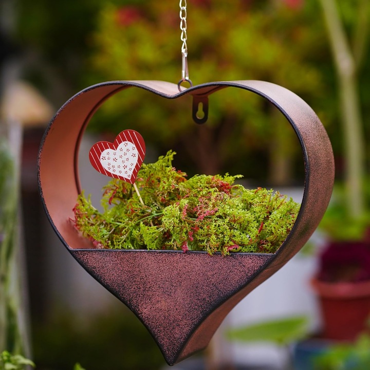 Ghiveci Suspendat in Forma de Inima pentru Plante si Flori, Suport Decorativ de Perete sau Tavan pentru Interior si Exterior, Organizator Plante Curgatoare, Decoratiune Casa si Birou