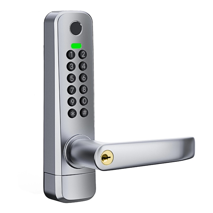 BOT Maner inteligent TTLock HO31 Double argintiu