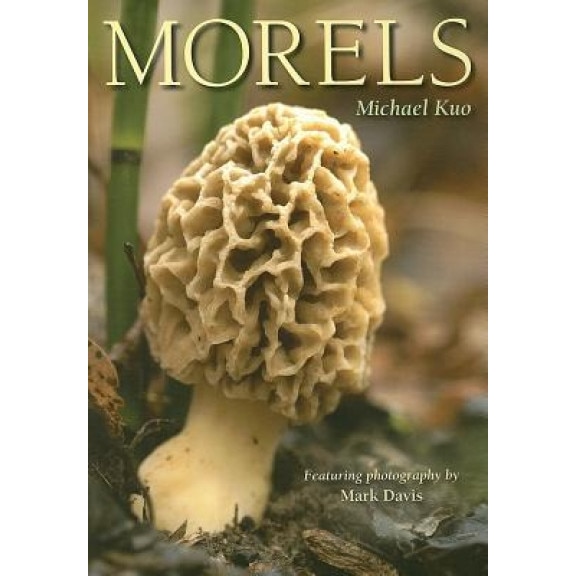 Morels, Michael Kuo