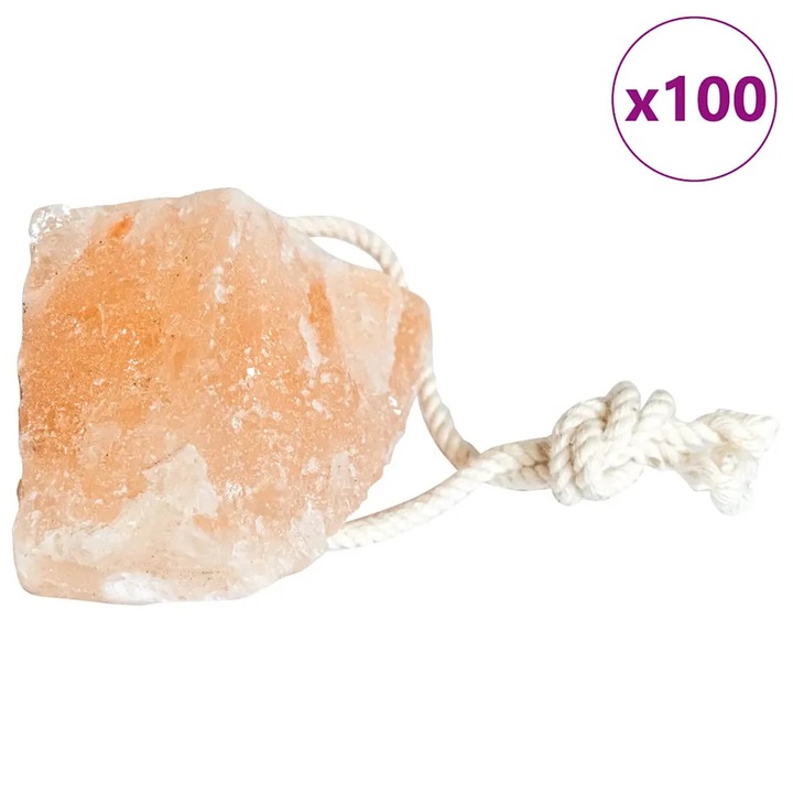 vidaXL Só Nyalók Kövek 100 pcs Rózsaszín Kő 42000115