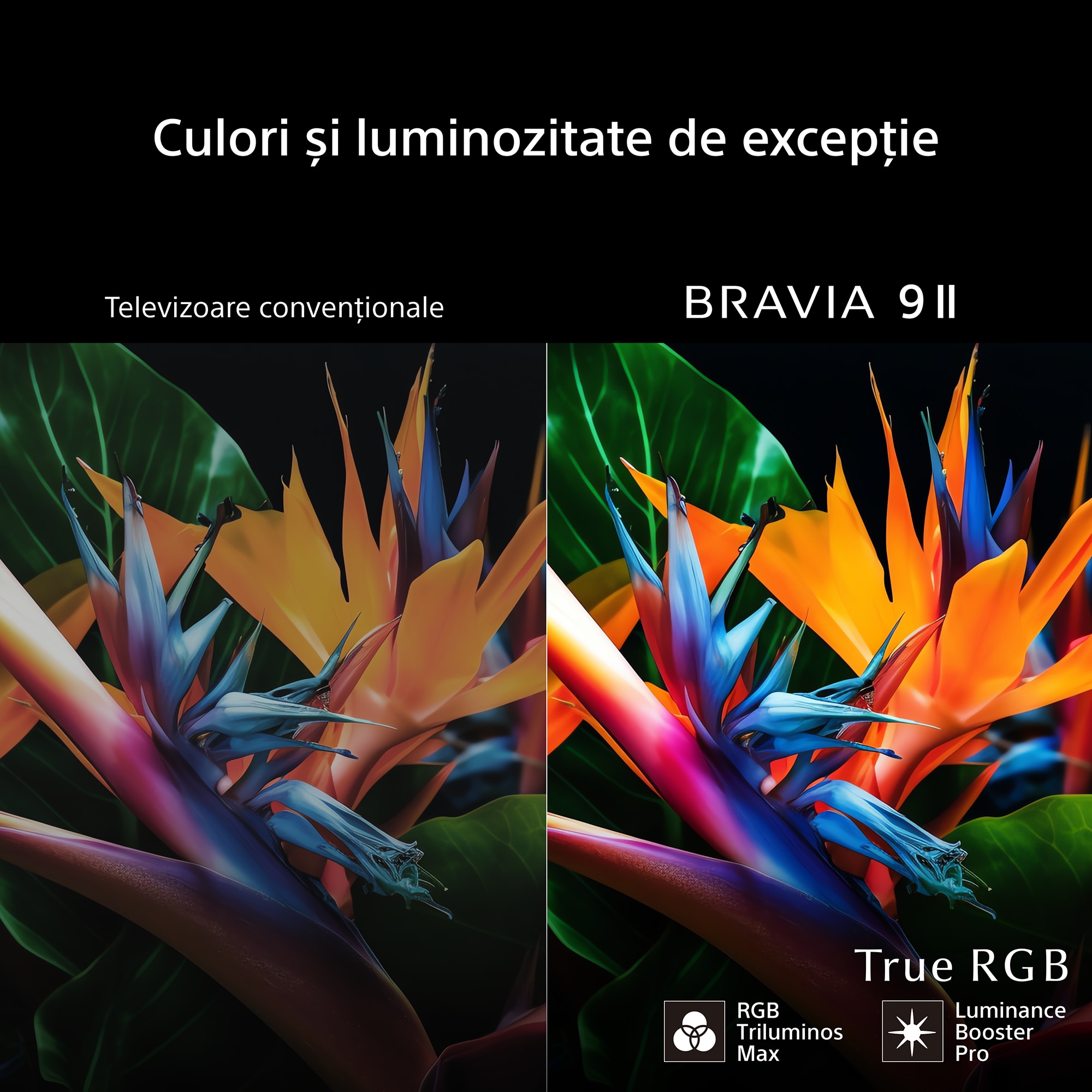 Televizor Sony BRAVIA XR 9 II True RGB LED 75XR95M2, 189 cm, Smart