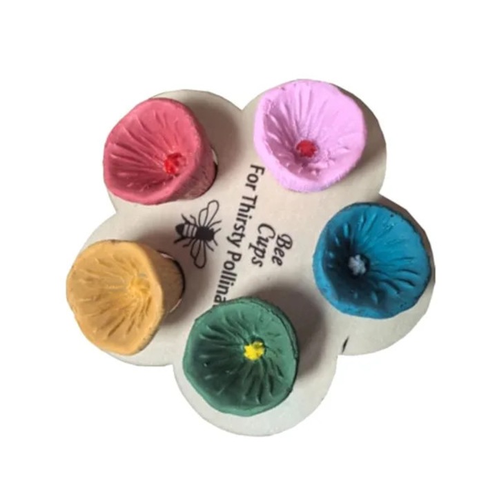 Adapatoare pentru albine, set 5 culori, rasina ecologica, 7x7cm
