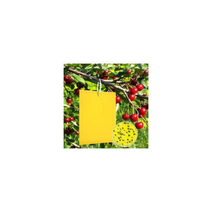 Set 50 capcane lipicioase galbene pentru muste si afide, 15x20cm