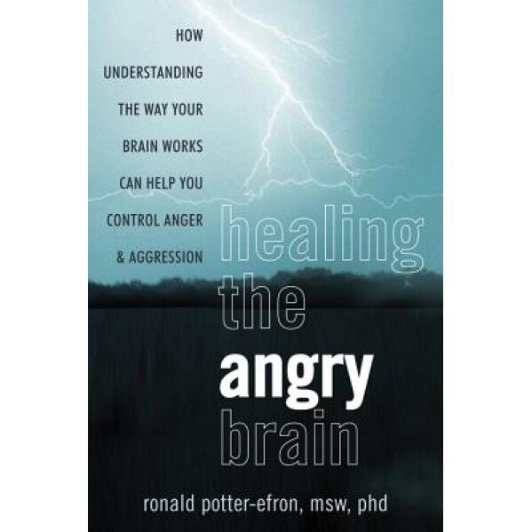 Healing the Angry Brain: How Understanding the Way Your Brain Works Can Help You Control Anger and Aggression, Ronald Potter-Efron (Author)