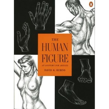 Human Figure: An Anatomy for Artists, David K. Rubins, Rubins Human Figure: An Anatomy for Artists, David K. Rubins, Rubins