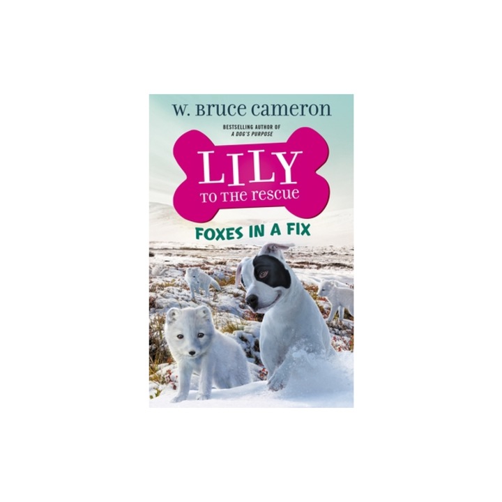 Lily to the Rescue Foxes in a Fix, James Bernardin