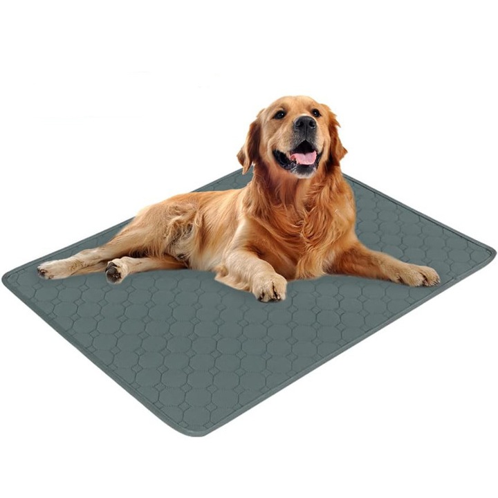 Covoras antrenament caini 60x45cm gri, super absorbant, impermeabil, reutilizabil
