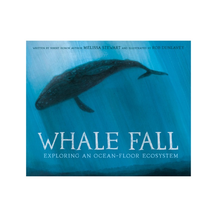 Whale Fall Exploring an Ocean-Floor Ecosystem, Melissa Stewart