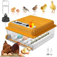 Incubator electric, Bedee, Incubator automat oua, pentru 16 oua, Afisaj LED, Intoarcere automata oua, Automat control temperatura, pentru oua de pui, rata, gasca, Portocaliu/Transparent