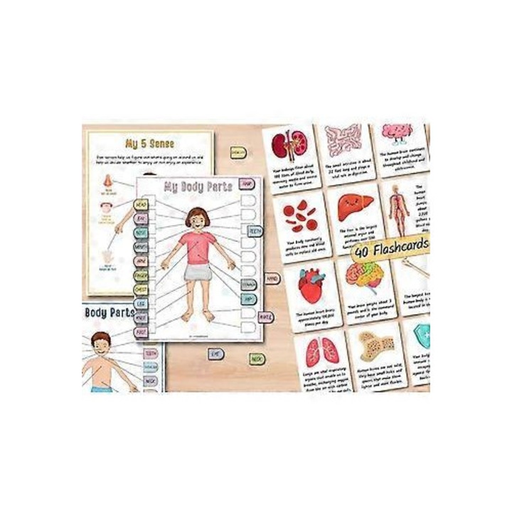 Carte activitati anatomie umana copii A4 educationala interactiva