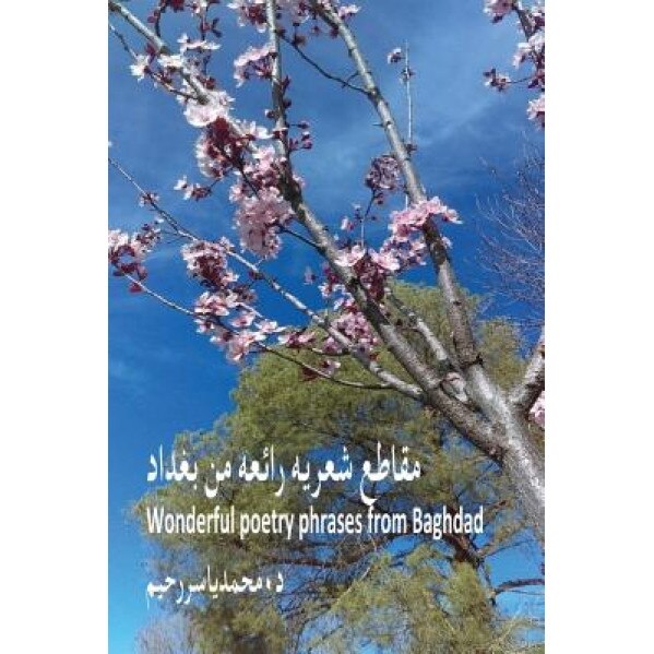 Wonderful Poetry Phrases from Baghdad: Poetry Phrases, Dr Mohammed Yasser Raheem (Author)