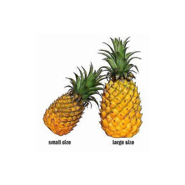 Ananas artificial, fruct decorativ Realist, din plastic non-toxic, fara miros, Galben/Verde, 1 buc., 26x12 cm