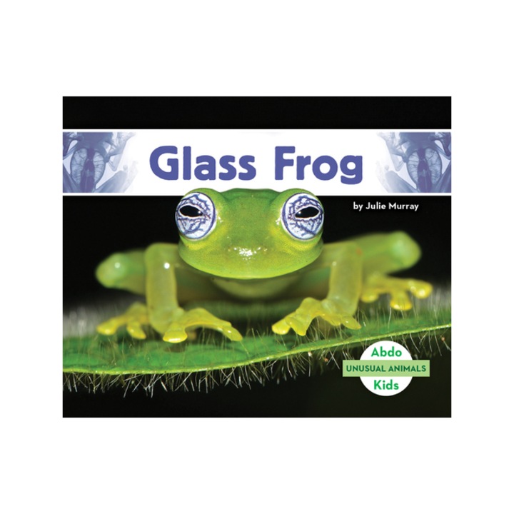 Glass Frog, Julie Murray