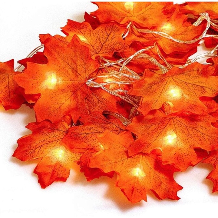 Ghirlanda LED toamna 3m 20 LED flori si frunze artificiale multicolor