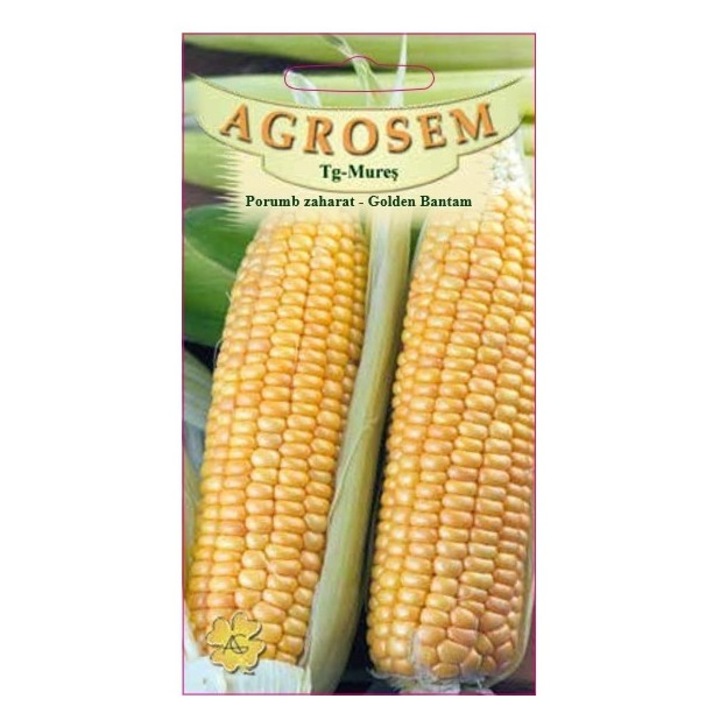 Seminte, Porumb zaharat Golden Bant.10g