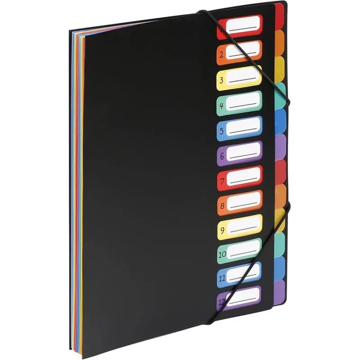 Mapa acordeon 12 compartimente multicolor 34x25cm
