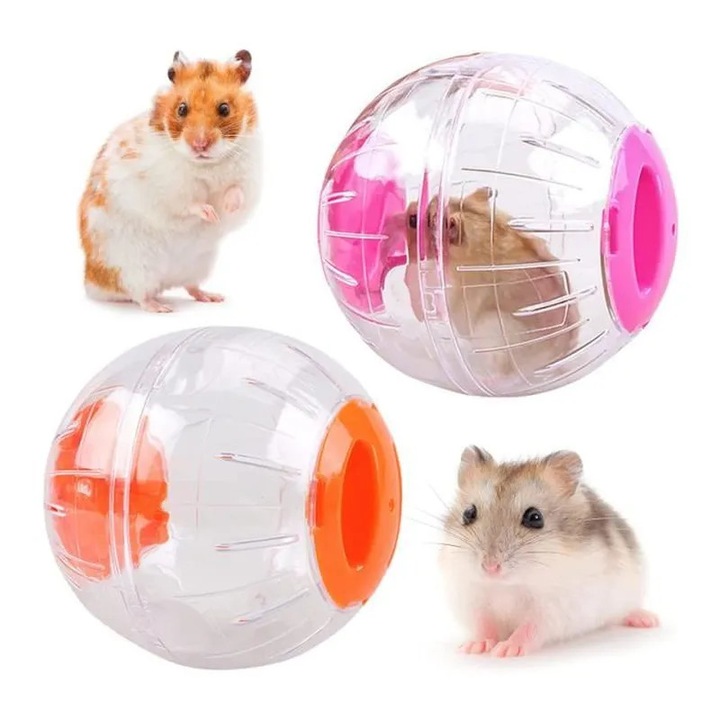 Bila hamster transparenta plastic interior siguranta observatie