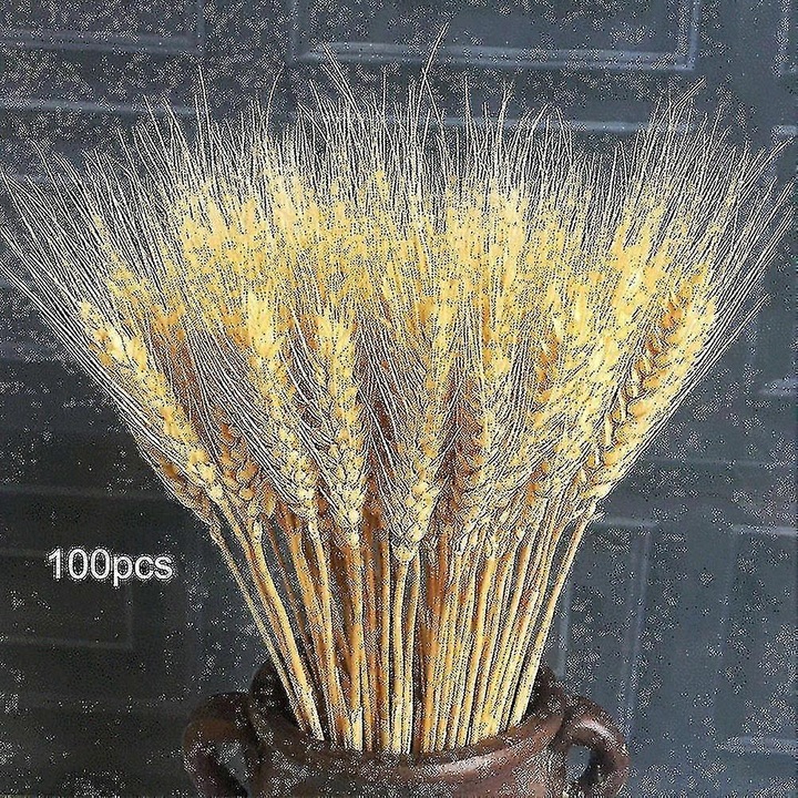 Természetes arany színű, szárított fűszernövény csokor, 100 szál, 50-60cm