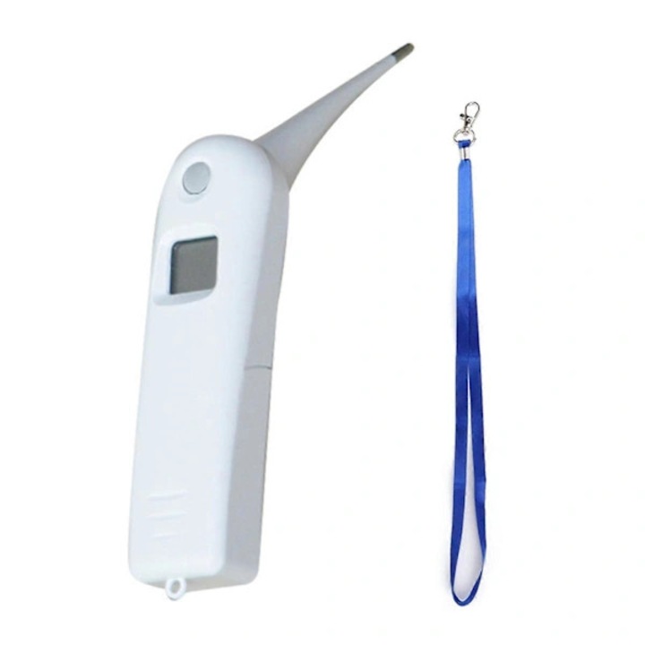 Termometru veterinar, rapid, precis, afisaj LCD, 19x11cm