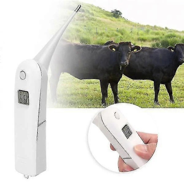Termometru veterinar electronic, durabil, afisaj LCD, 19x10cm