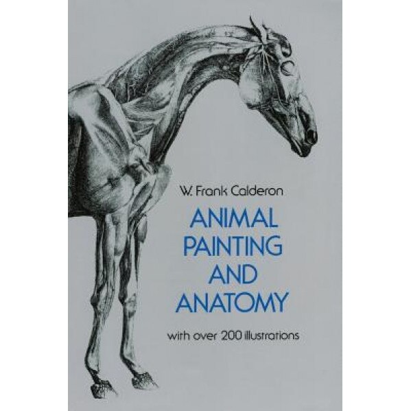 Animal Painting and Anatomy, Pedro Calderon de La Barca (Author)