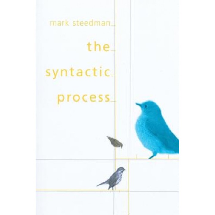 The Syntactic Process, Mark Steedman (Author)