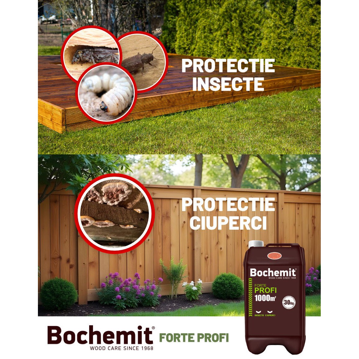 Bochemit Forte Profi 30KG, soluție impermeabilizare, soluție anti carii ...