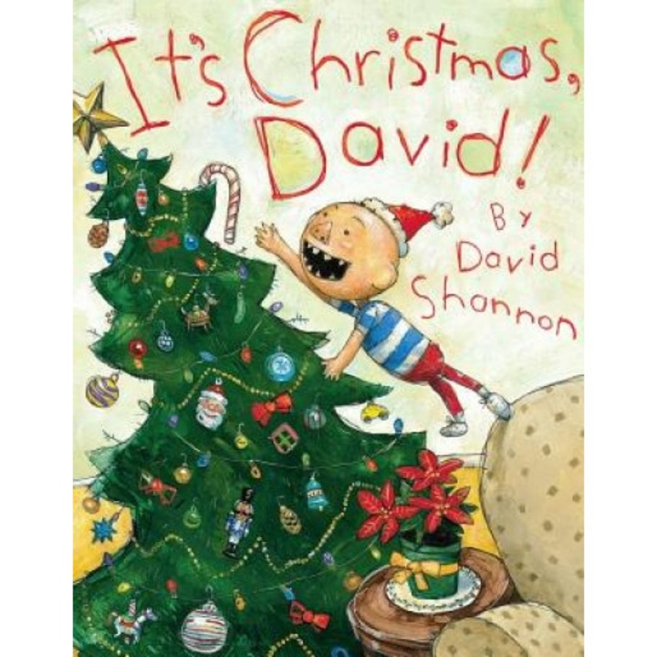 It's Christmas, David!, David Shannon