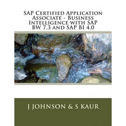 Business Intelligence with SAP Bw 7.3 and SAP Bi 4.0, S. Kaur (Author)