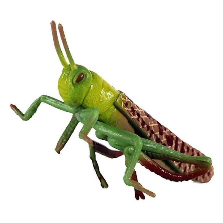 Model plastic lacusta, 7x2.5x5cm, verde, jucarie educativa copii