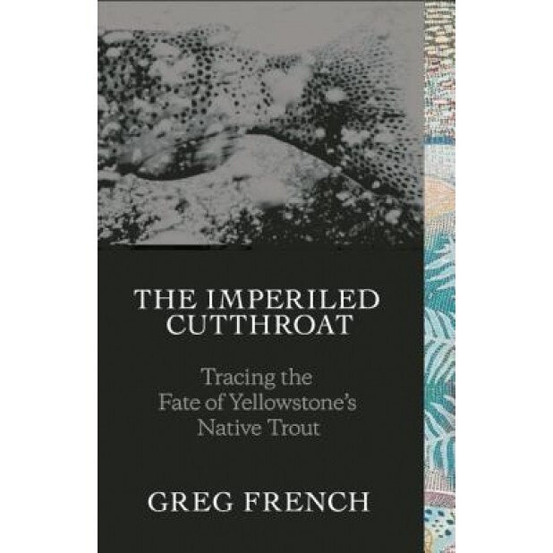 The Imperiled Cutthroat: Tracing the Fate of Yellowstone's Native Trout, Greg French (Author)