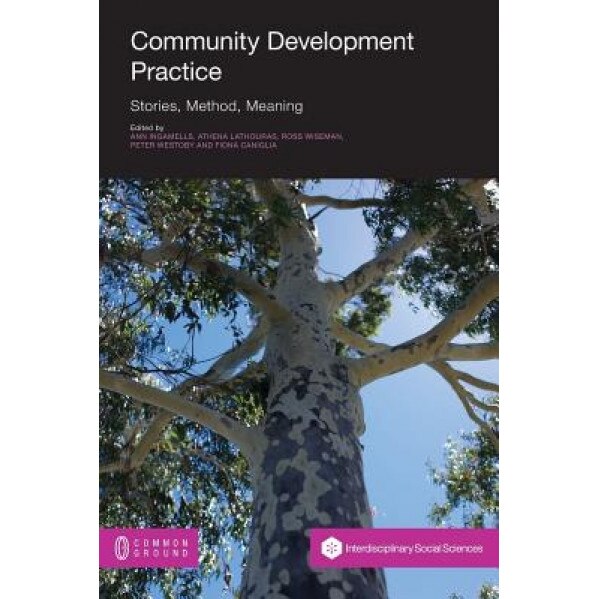 Community Development Practice: Stories, Method and Meaning, Ann Ingamells (Editor)