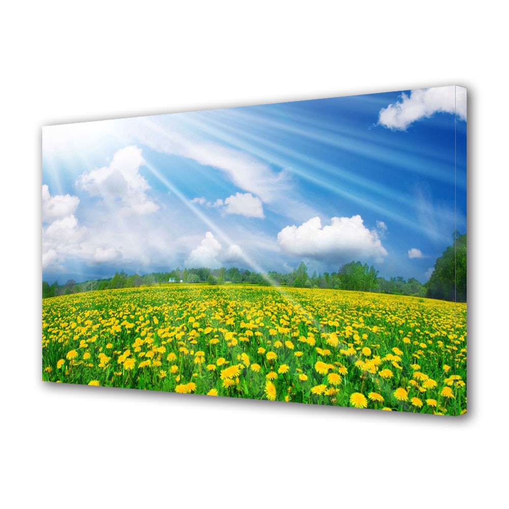 Tablou VarioView MoonLight Fosforescent Luminos in intuneric Flori Camp de papadii, 40 x 60 cm
