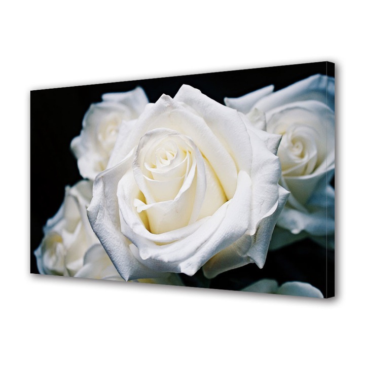 Tablou VarioView MoonLight Fosforescent Luminos in intuneric Flori Trandafiri albi, 40 x 60 cm