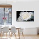 Tablou VarioView MoonLight Fosforescent Luminos in intuneric Flori Trandafiri albi, 40 x 60 cm