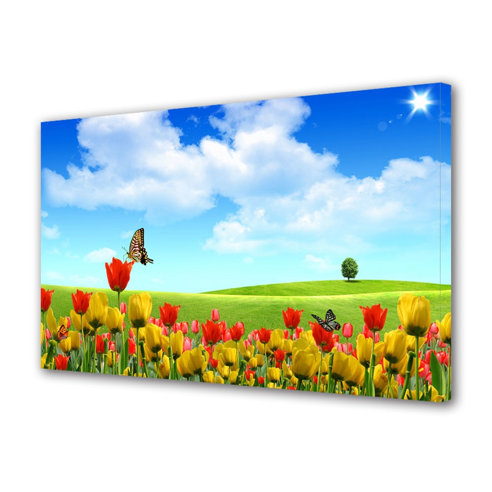 Tablou VarioView MoonLight Fosforescent Luminos in intuneric Flori Fluturi si flori, 40 x 60 cm
