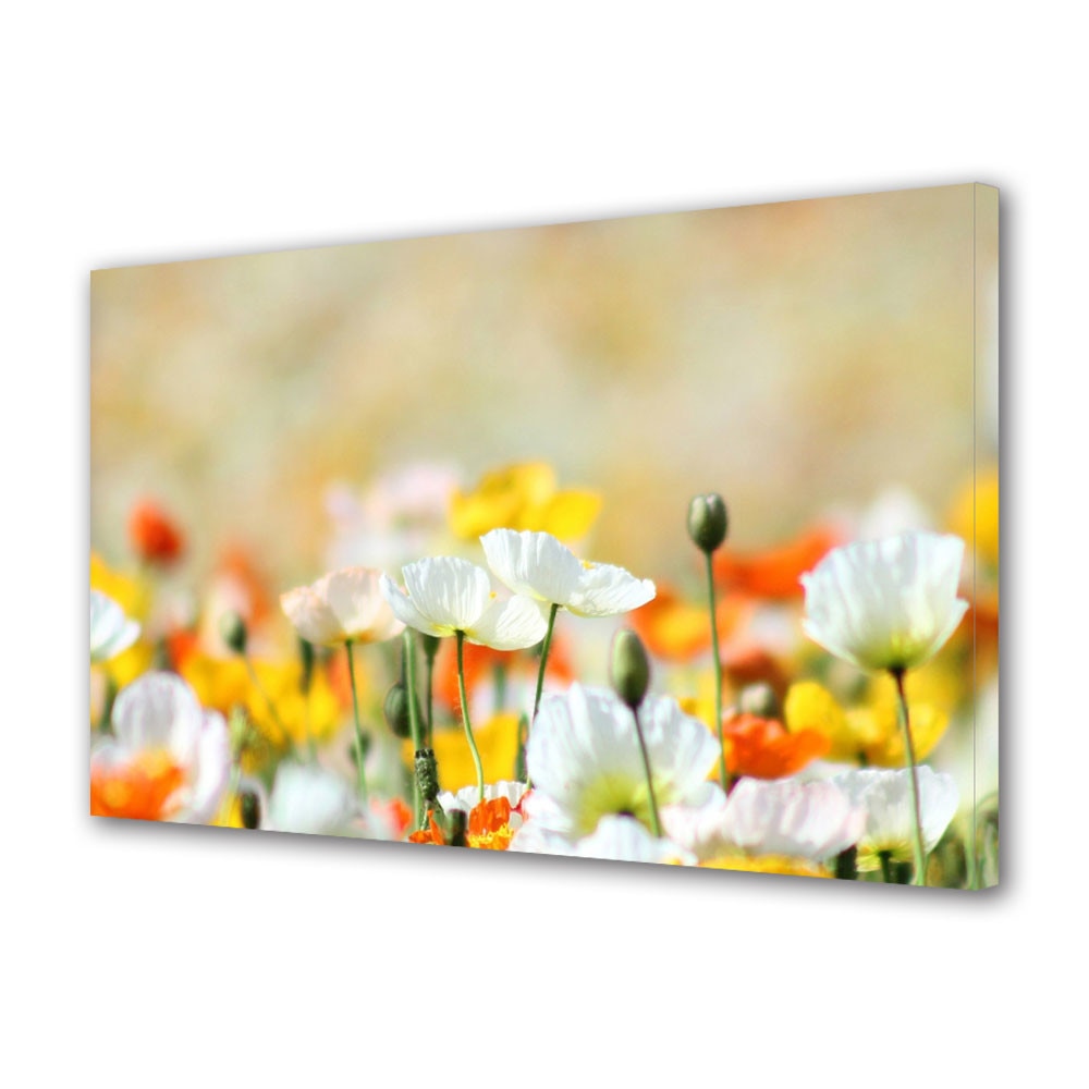Tablou Canvas Luminos in intuneric VarioView LED Flori Flori frumos colorate 30 x 45 cm